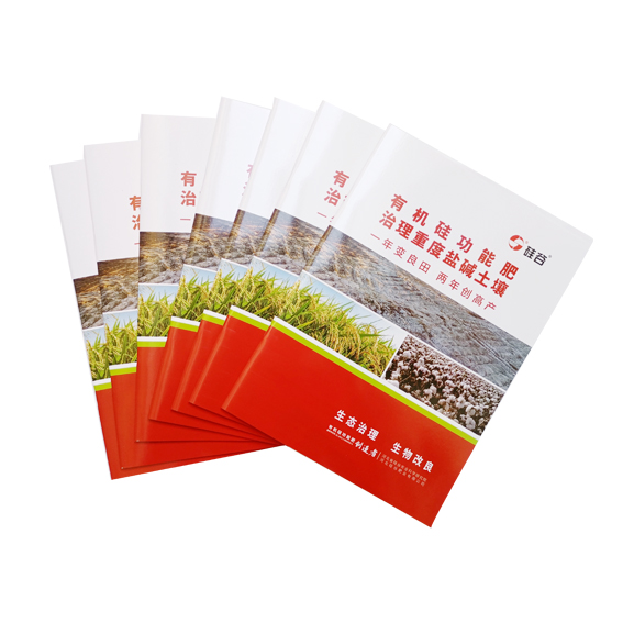 企業(yè)畫(huà)冊(cè)