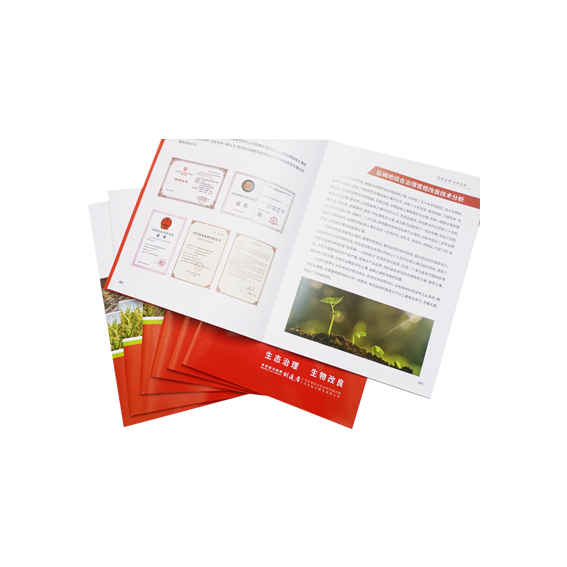 企業(yè)畫(huà)冊(cè)
